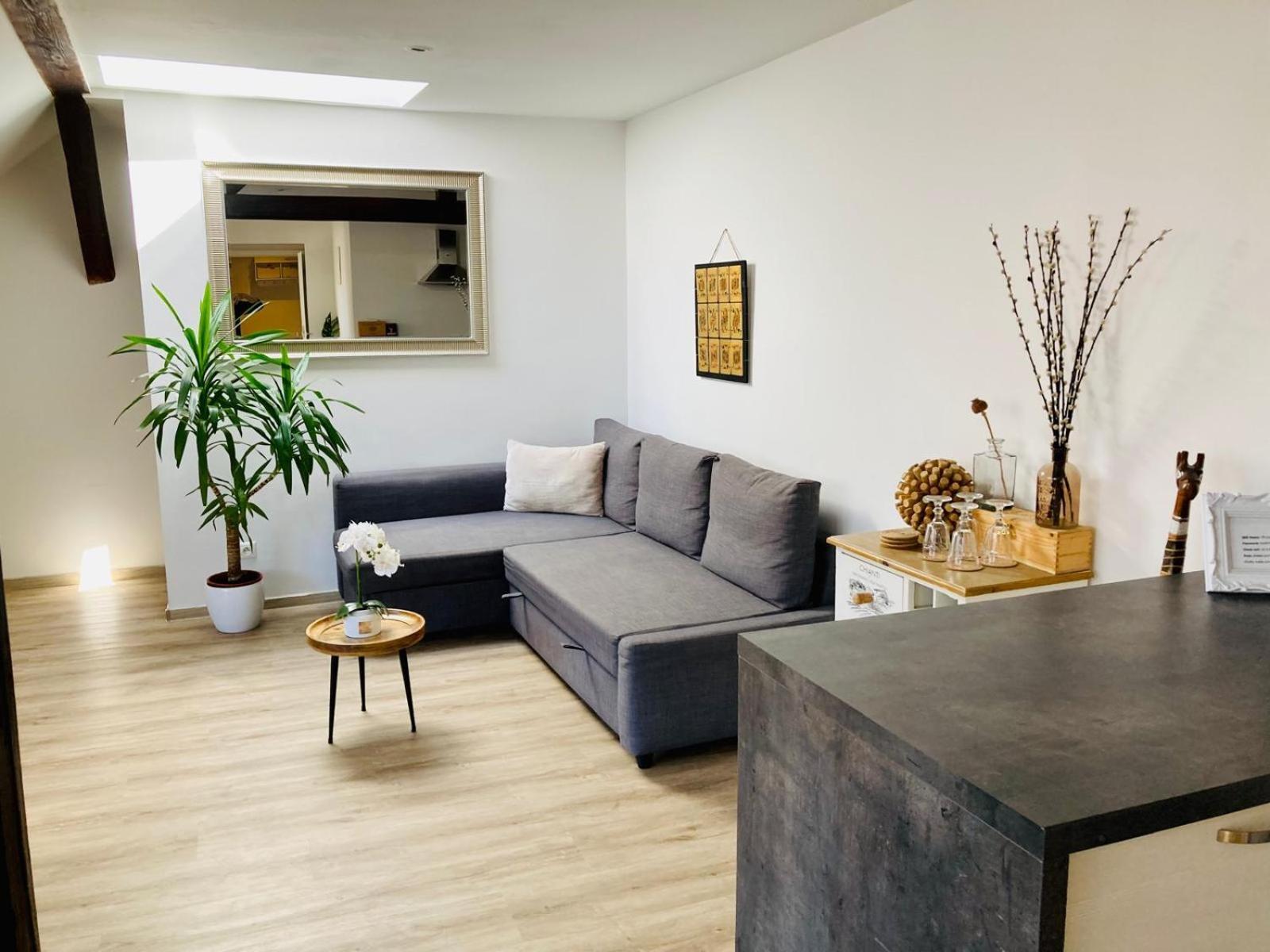 Vip Apartment In Old Town With Free Parking Bratysława Zewnętrze zdjęcie