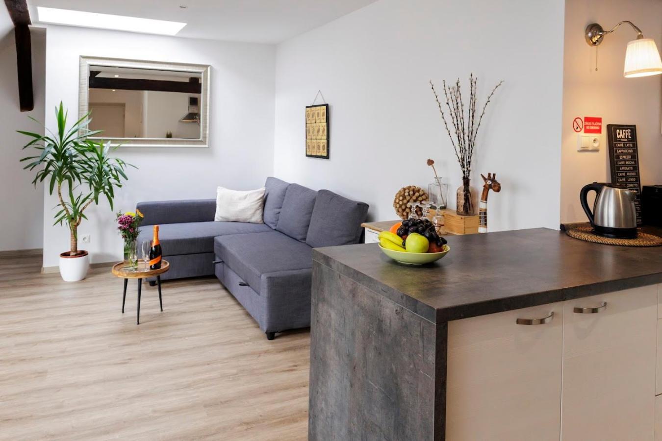 Vip Apartment In Old Town With Free Parking Bratysława Zewnętrze zdjęcie
